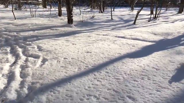 Прогулка зимой смотреть онлайн
