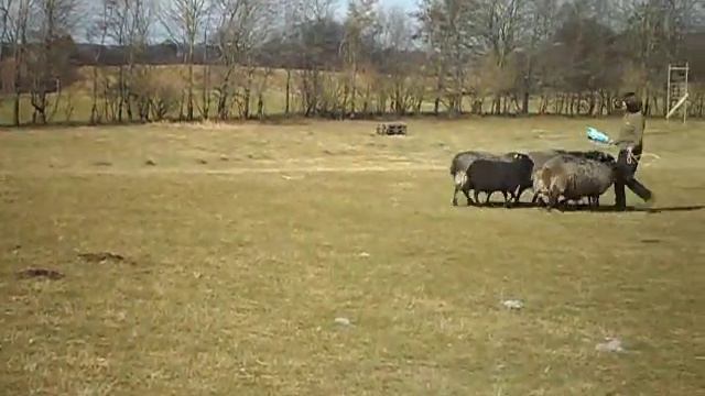 Birgit Bethmann bei Finn B.Petersen und Gunilla Swedjemark in Dänemark www.birgit-bethmann.de смотреть онлайн