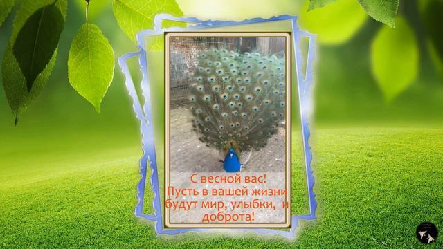 пожелания смотреть онлайн