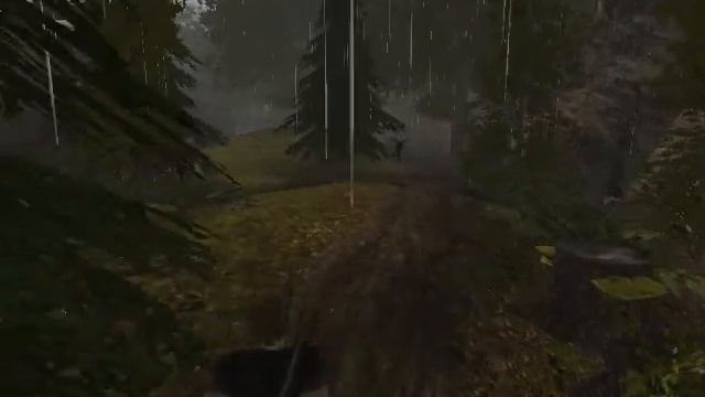 Zagrajmy w Gothic 2 Odc4 (Roślinki Dla Constantino) cz[1/2] смотреть онлайн