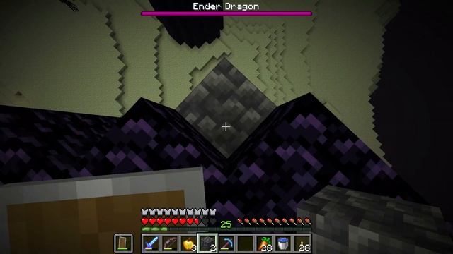 Minecraft Java Edition 1.19 Survival Part 61:Kill EnderDragon смотреть онлайн