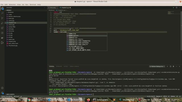 Basic OpenCV - Read Image, Read Video, Read Webcam смотреть онлайн