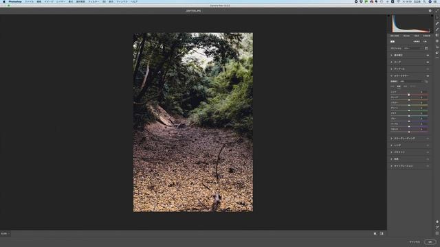 How to Get The Cinematic Look, Adobe Photoshop Editing Tutorial | Camera Raw, Lightroom смотреть онлайн
