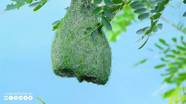 Yспокаивающая музыка для нервов ? лечебная музыка для сердца и сосудов, релакс, музыка для души #14 смотреть онлайн