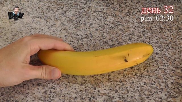 Как похудеть используя дробное питание | Пятая неделя | Итоги месяца смотреть онлайн