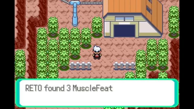NEW Generations & New Beginning! | Pokémon Roguelike | Pokémon: Emerald Rogue | 15 смотреть онлайн