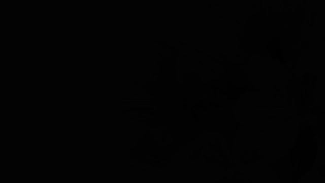 Рассказ из книги " Книга судеб или выход из тоннеля сурка. "КОРОТКО ПРО ЖЕНЩИН" смотреть онлайн