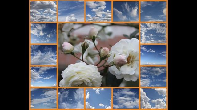 Семнадцать мгновений весны смотреть онлайн