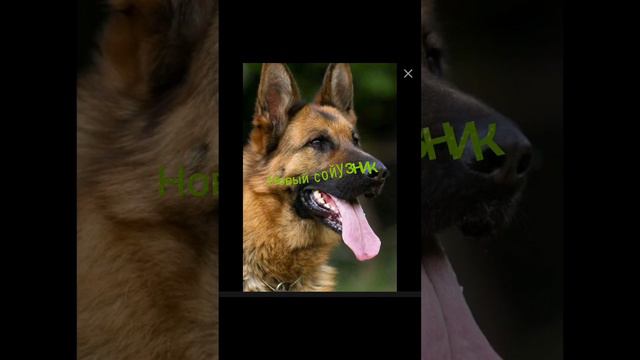 Скоро весна а значит… #roblox #рекомендации #хочуврек #capcut