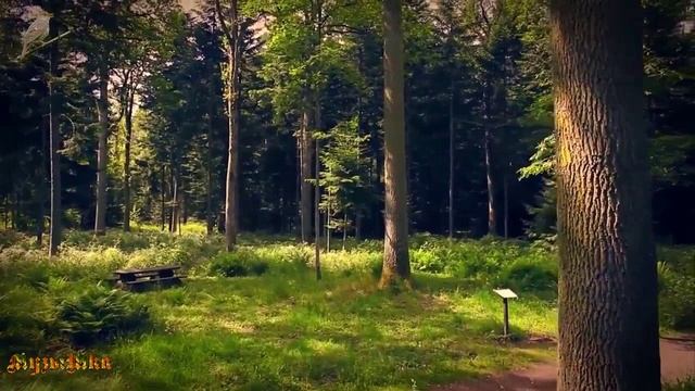 ♫ ЛЕСНОЙ БАЛЬЗАМ !!! ШИКАРНЫЙ РЕЛАКС !!!.mp4 смотреть онлайн