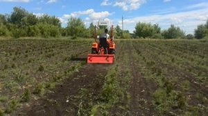 Минитрактор Уралец-224. Работа с почвофрезой 1GQN-120