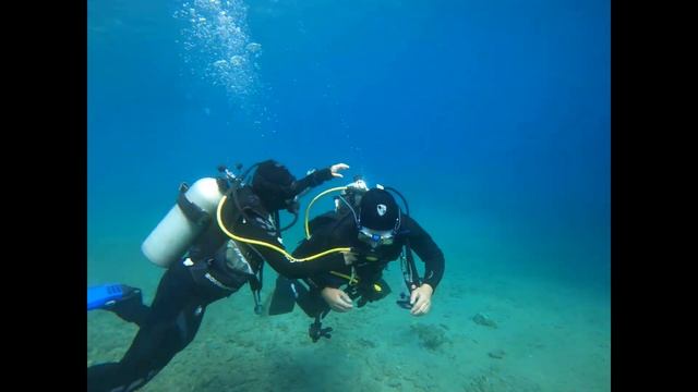 разминка дайверов на на дайв сайт ресторан. Эйлат дайвинг 31 декабь 2020(2) смотреть онлайн