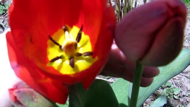 Поздравляю с женским праздником! Желаю море цветов, улыбок, подарков и прекрасных слов!??? смотреть онлайн