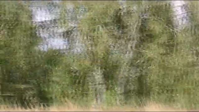 Воскресная прогулка, покупки в Ленте и Фикс прайс смотреть онлайн