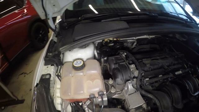 Защита от угона Ford Focus 3   Звуковые сирены