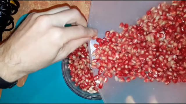 Зоопарк и Дикие Животные