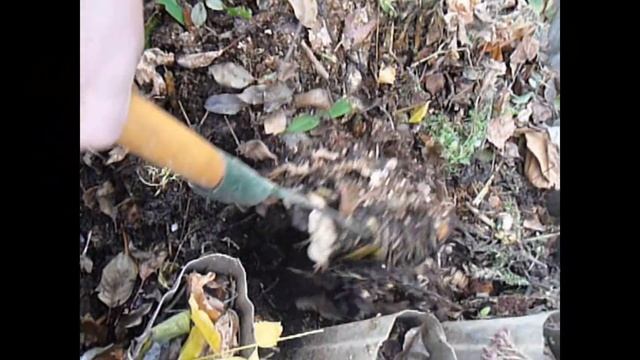 ✿➽ Калифорнийские черви. Биогумус, компост своими силами. смотреть онлайн
