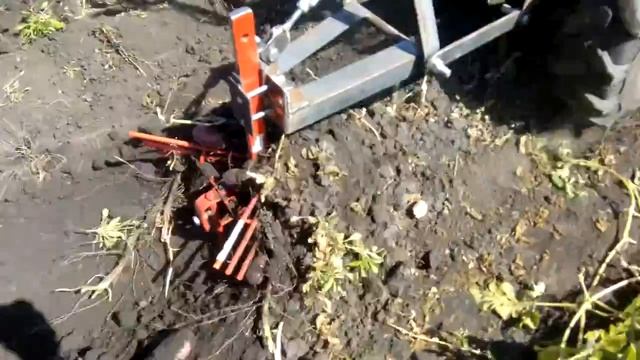 копаем картошку.mp4 смотреть онлайн