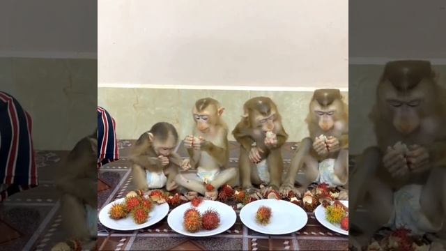 4 Siblings Sit Very Calmly Meditating Waiting Mom To Come & Feed Them Fruity Dessert , смотреть онлайн