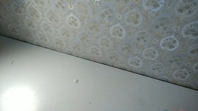 Ручки кролики из Китая смотреть онлайн