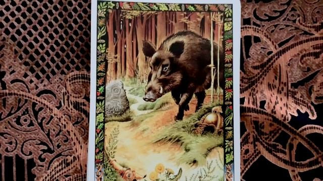 Mabon Oracle Reading смотреть онлайн