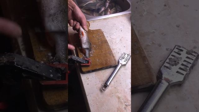 Быстрая чистка окуня смотреть онлайн