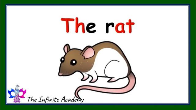 Sight Word | THE-Phrases With Pictures | Early Learning | Kids Videos | English Learning Videos