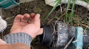 Делаем полив для капусты