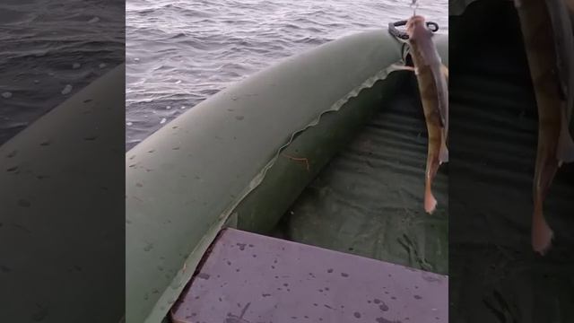 Рыбалка на Арахлее. смотреть онлайн