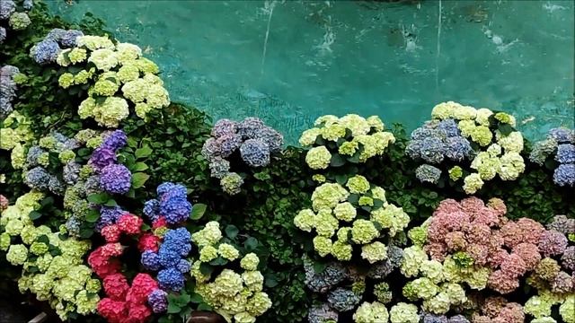 Москва. Прогулка по ГУМу. Везде цветы. (01.07.2023) смотреть онлайн