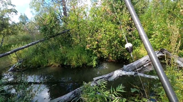 Сухой РУЧЕЙ - Рыбалка,Проверка ХАРИУСА/тормозов нет! но мы с ЖИНКОЙ едем,! ПЛАНЕТА бухтит. смотреть онлайн