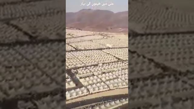 Мекке қаласы смотреть онлайн