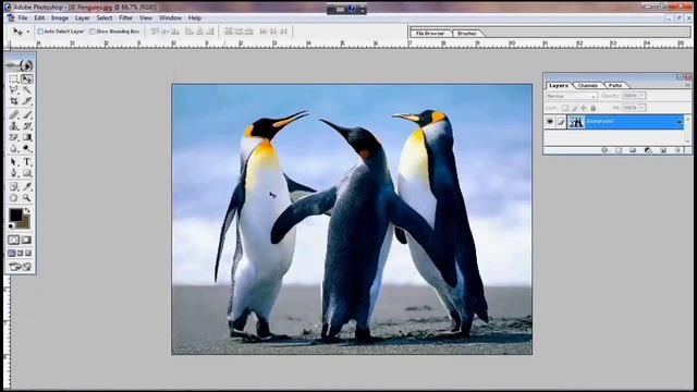 Adobe Photoshop lesson-8/Image Sizes смотреть онлайн