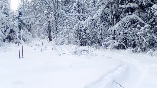 Барс модуль удленил.В дыбы не встает.Три места.Задняя звезда на 38 зубов.Идет зверски. смотреть онлайн