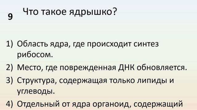 Б9 07 Эукариотическая клетка  Ядро