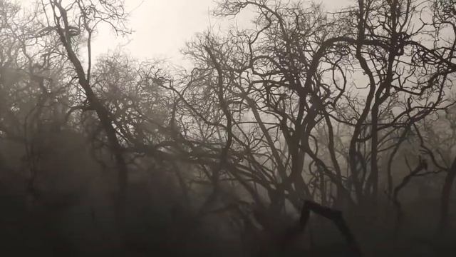 Magical East Java смотреть онлайн