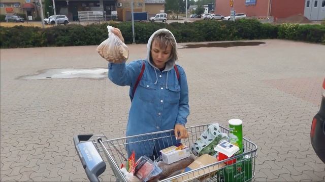 В Норвегию на автомобиле с детьми #2. Дорога Стокгольм - Драммен. Ночевка в кемпинге Норвегии. смотреть онлайн
