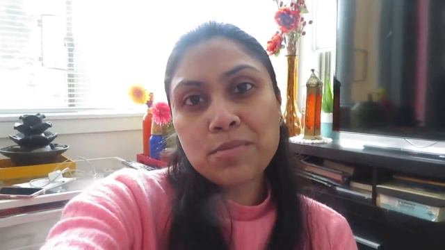 Sunday Vlog- Snow day & Most Expensive Lunch Ever II Indian Mom Vlogger in Canada смотреть онлайн
