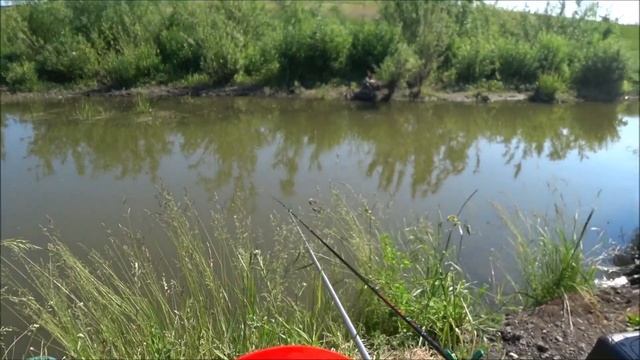 ХЕРАБУНА. ТЕСТ НОВОЙ УДОЧКИ И НОВЫХ НАСАДОК ДЛЯ ЛОВЛИ КАРАСЯ смотреть онлайн