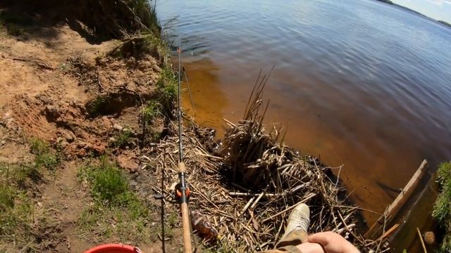 Ловля Карася и Леща на Фидер 1-го Мая 2023. смотреть онлайн