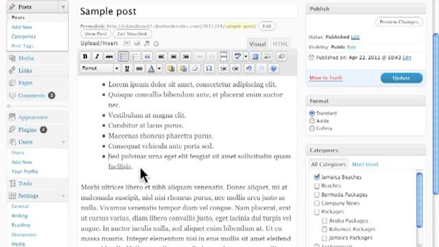 Creating Lists in New Post Editing Wordpress смотреть онлайн