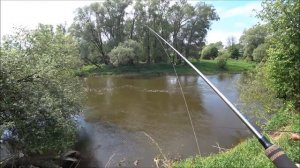 ЛОВЛЯ НА МАЙСКОГО ЖУКА