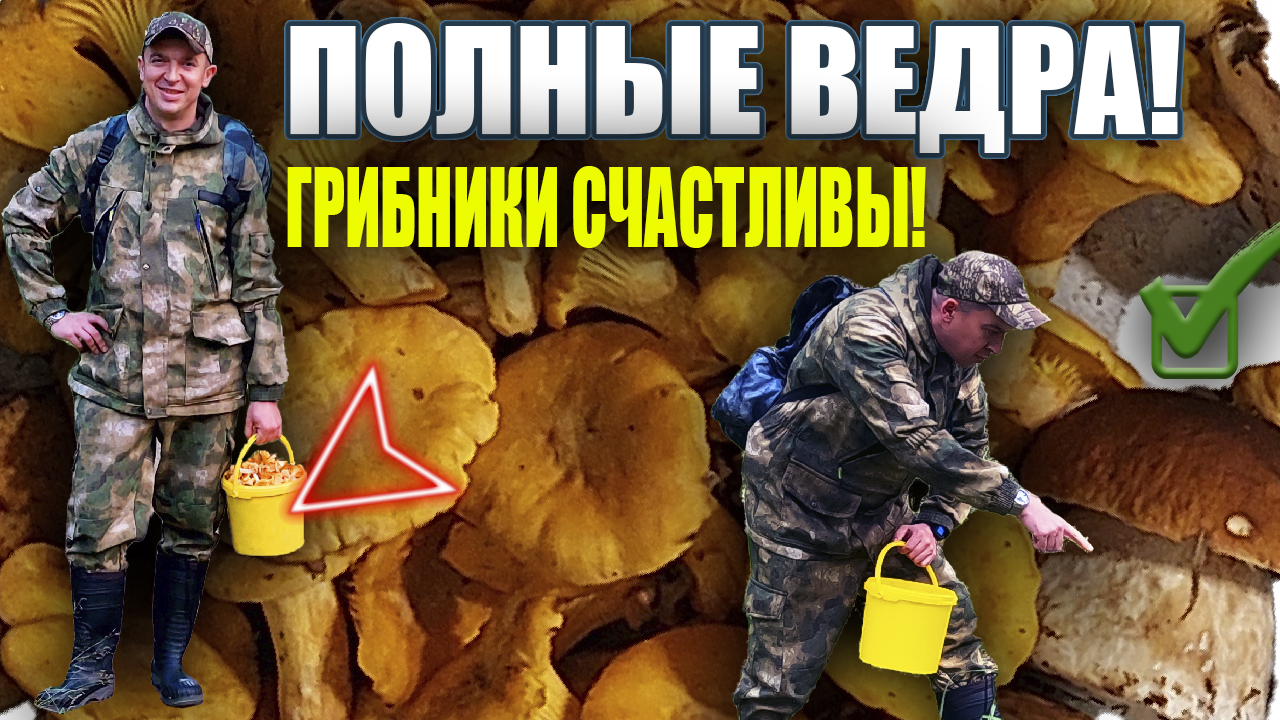 СБОР ГРИБОВ | КАКИЕ ГРИБЫ? МЫ СОБИРАЕМ СЕЙЧАС | УСЫПАН ВЕСЬ ЛЕС! смотреть онлайн