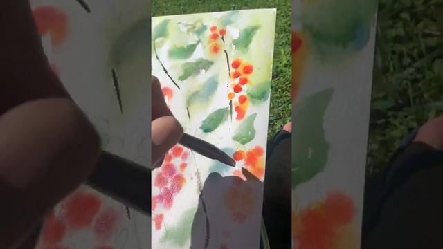 Нарисовала красную смородину акварелью. смотреть онлайн