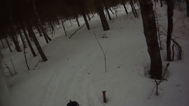 2x polaris voyageur 155 2016 смотреть онлайн