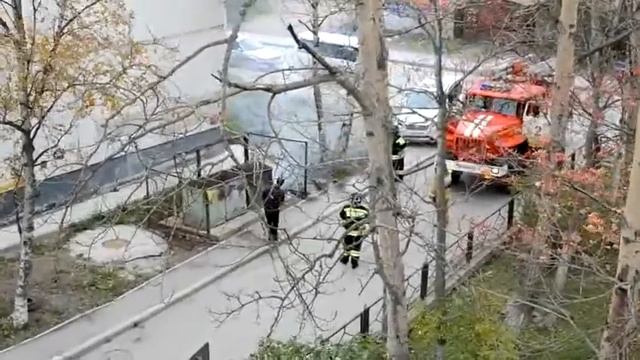 Как тушат пожары на Сахалине. смотреть онлайн
