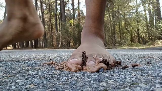 Cupcake Crush Walkover