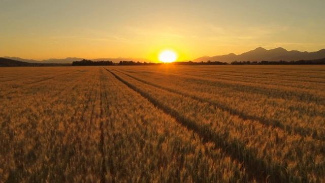 Get panic attack relief now смотреть онлайн