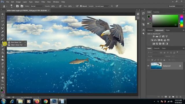 Photoshop Tools - Clone Stamp Tool - Photoshop Tutorial 09