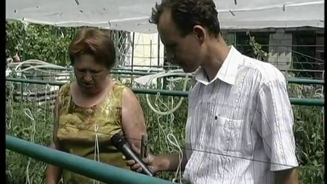 Органические полсотки в городе смотреть онлайн